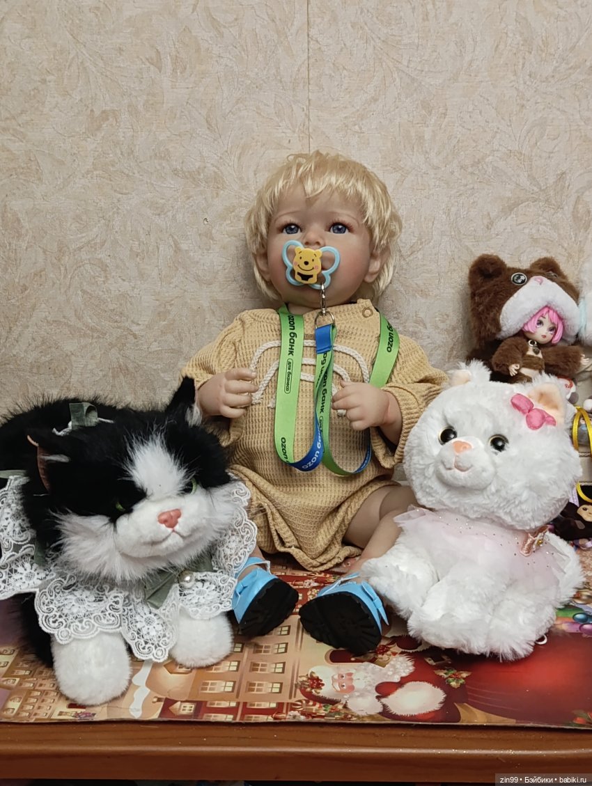 День кошек в России | Бэйбики День кошек в России — В мире животных: смешные фото питомцев и зверей (фото 3)