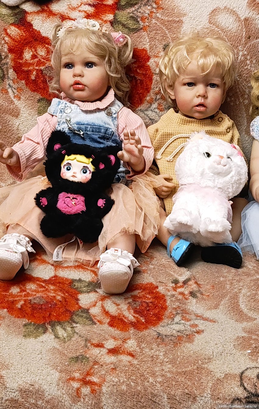 День кошек в России | Бэйбики День кошек в России — В мире животных: смешные фото питомцев и зверей (фото 5)