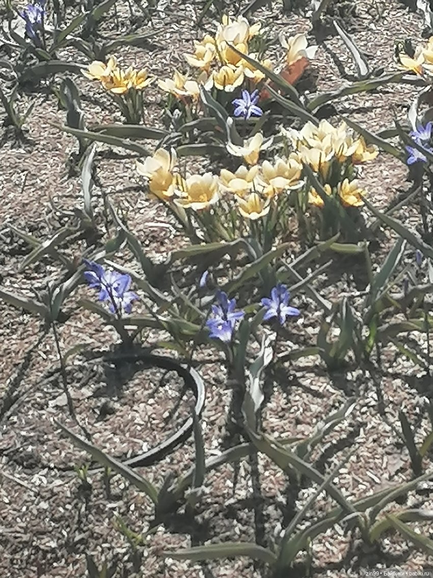 Центр Москвы и парк Зарядье