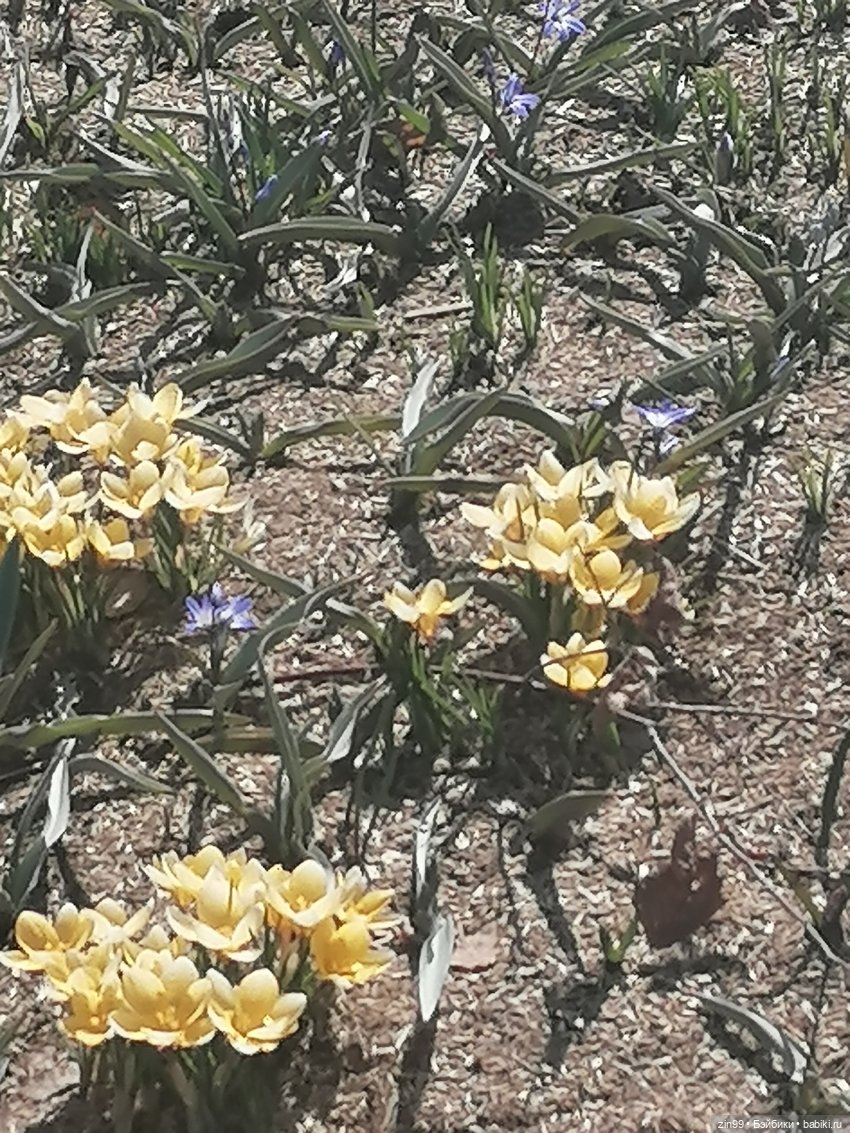 Центр Москвы и парк Зарядье