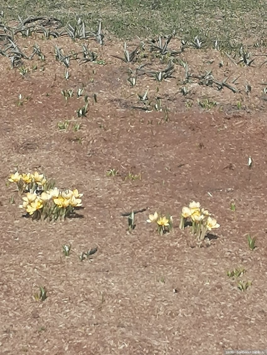 Центр Москвы и парк Зарядье