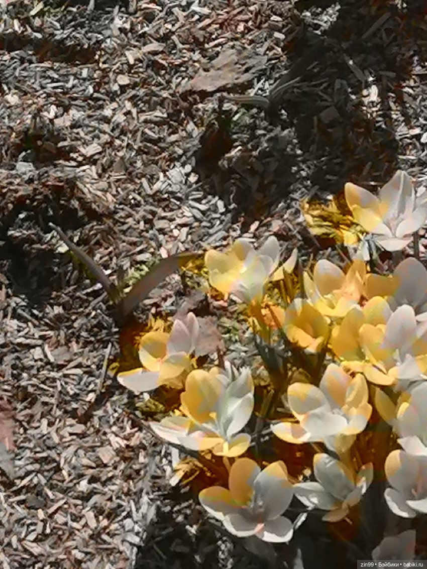 Центр Москвы и парк Зарядье