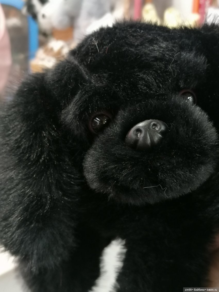 Прогулка в торговый центр