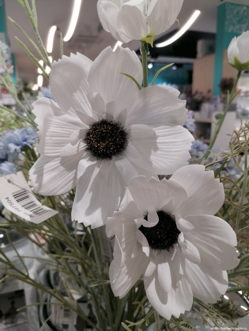 Прогулка в торговый центр (фото 8)