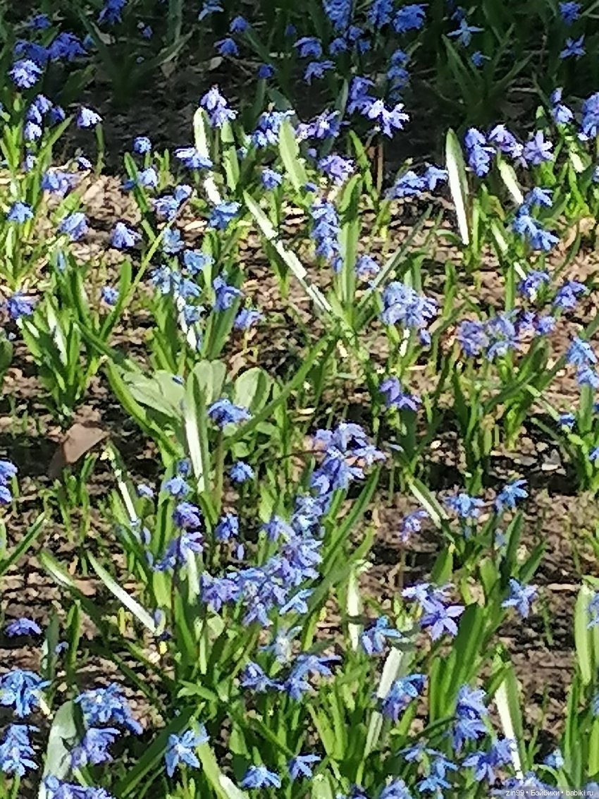 Прогулка в торговый центр (фото 6)