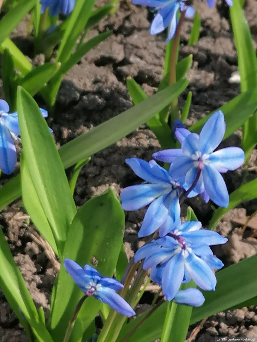 Прогулка в торговый центр (фото 5)