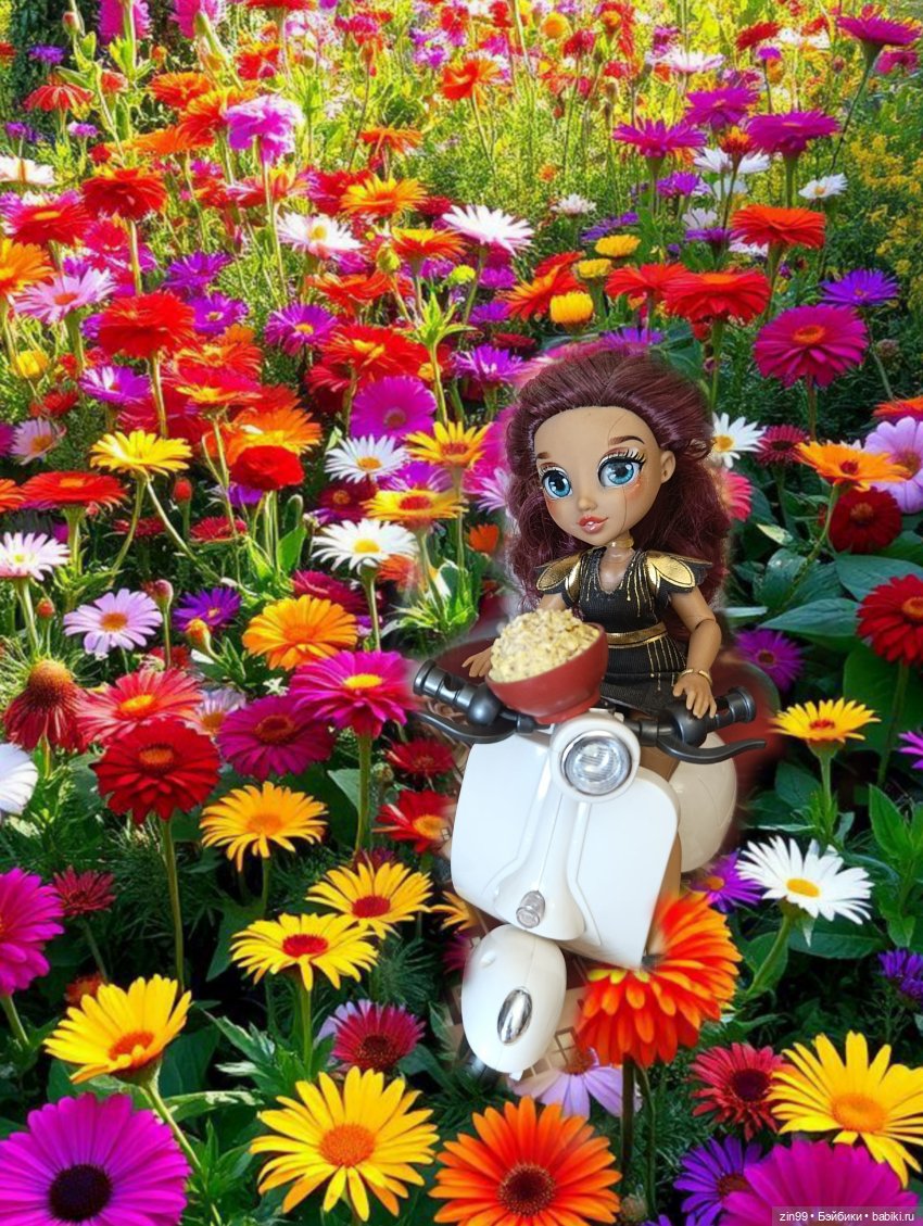 Мотоцикл и девочки — Коллекции игровых кукол (Playline): фото полок (фото 2)