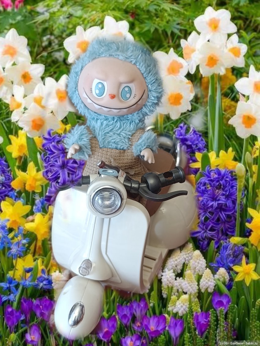 Мотоцикл и девочки — Коллекции игровых кукол (Playline): фото полок (фото 8)