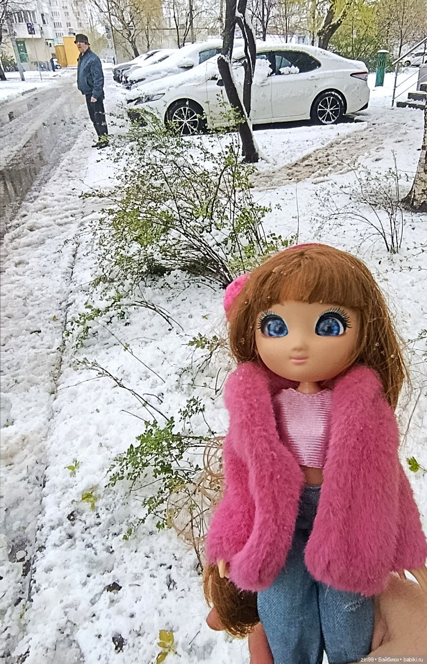 Снег в апреле повалены деревья