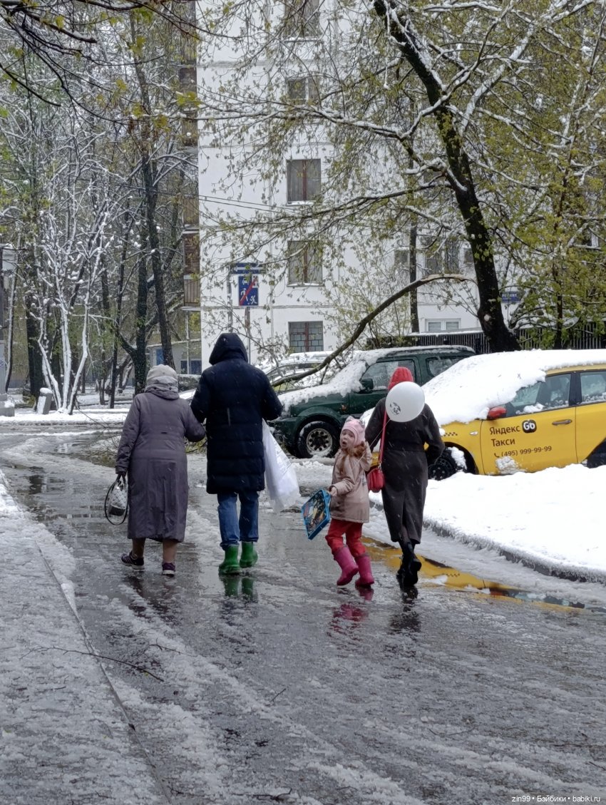 Снег в апреле повалены деревья (фото 7)