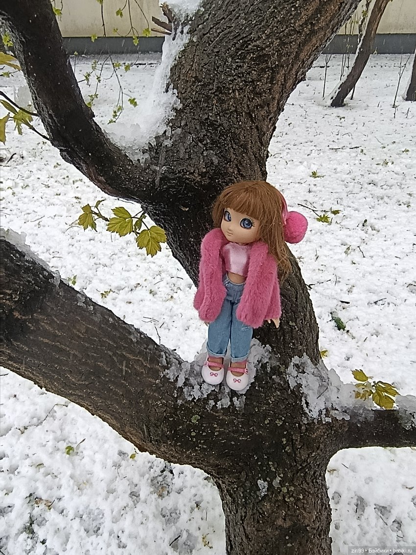 Снег в апреле повалены деревья