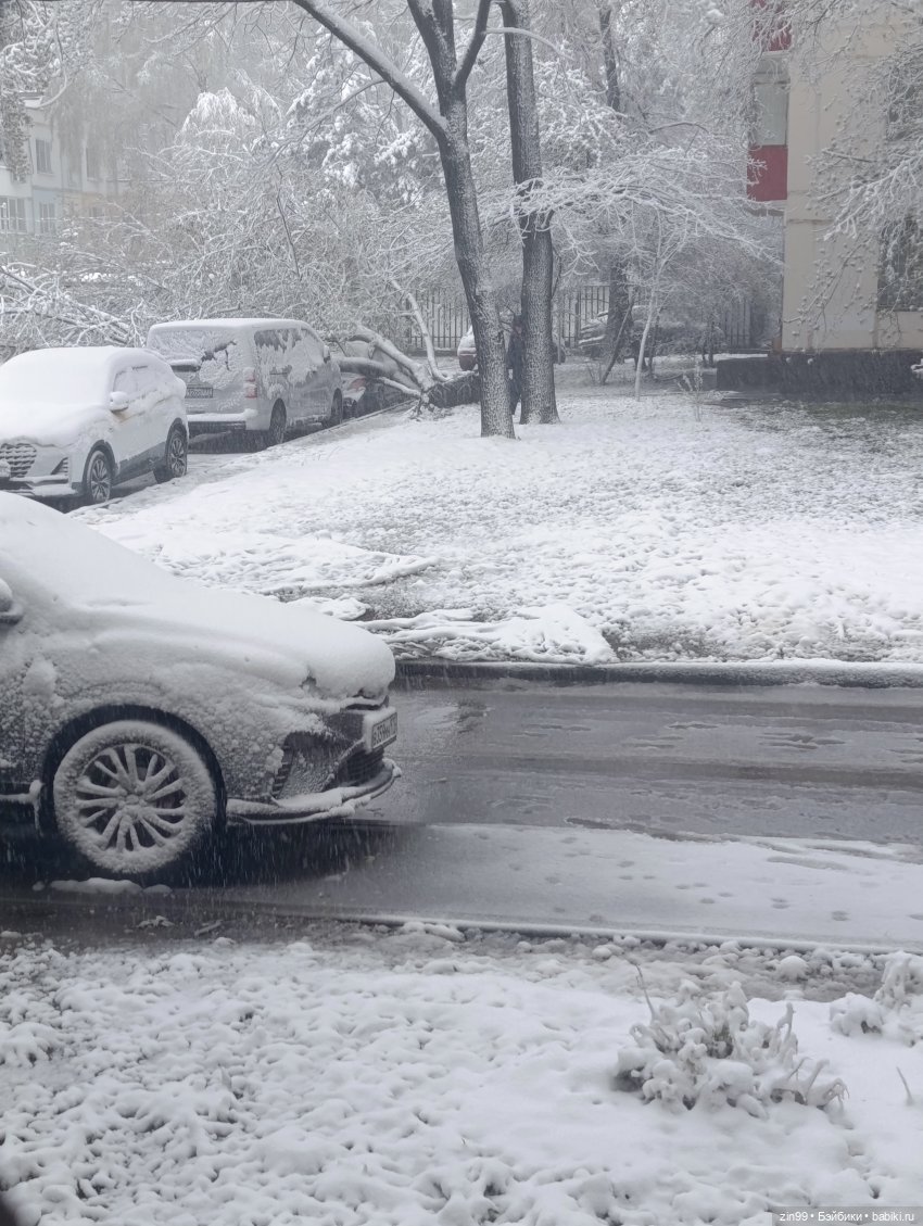 Снег в апреле повалены деревья