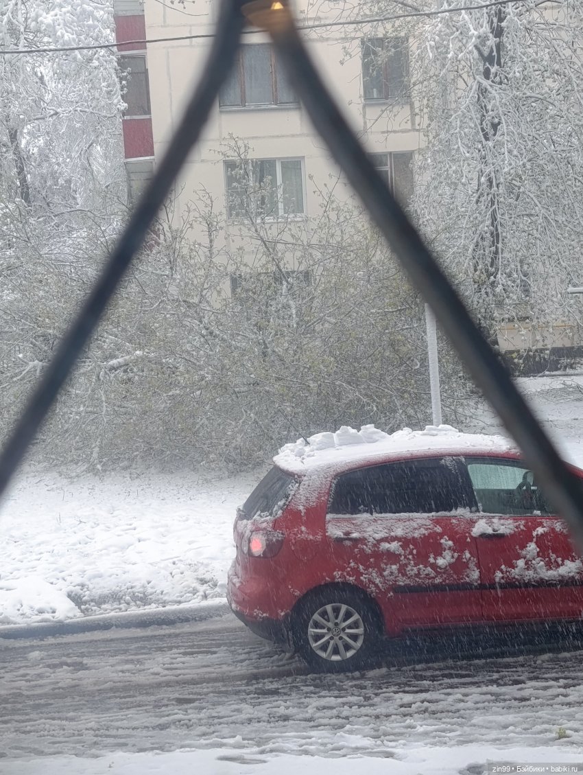 Снег в апреле повалены деревья