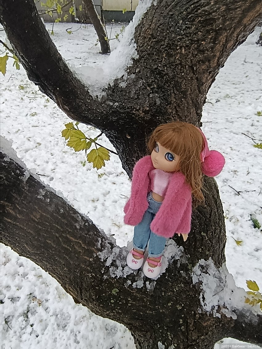 Снег в апреле повалены деревья