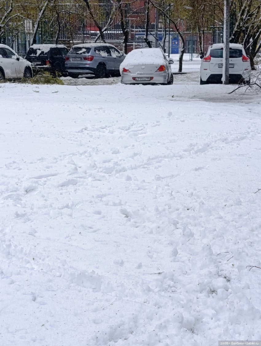 Снег в апреле повалены деревья