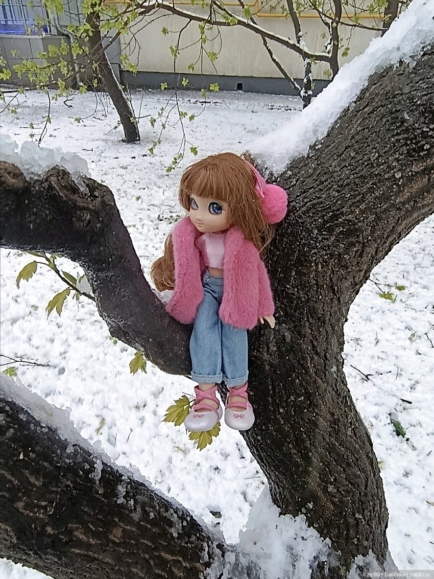 Снег в апреле повалены деревья