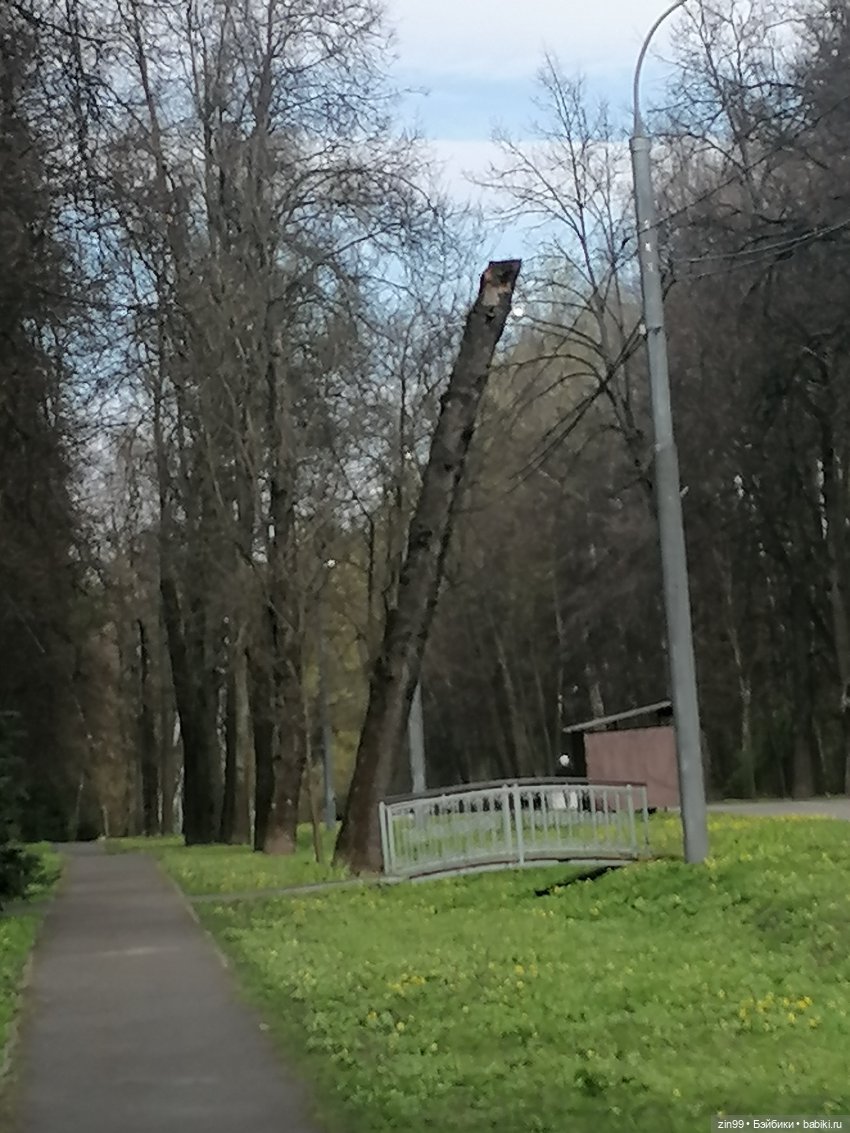 Измайловский парк — Коллекции шарнирных (фото 6)