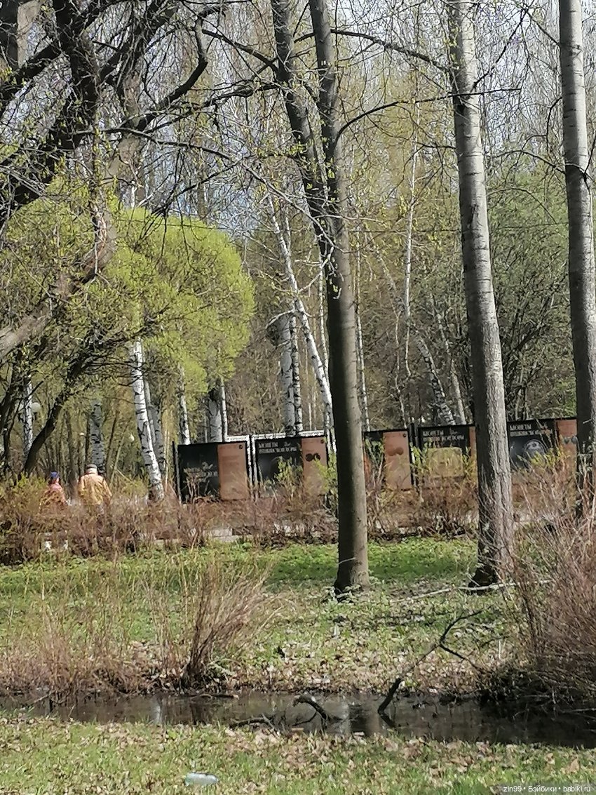 Измайловский парк — Коллекции шарнирных