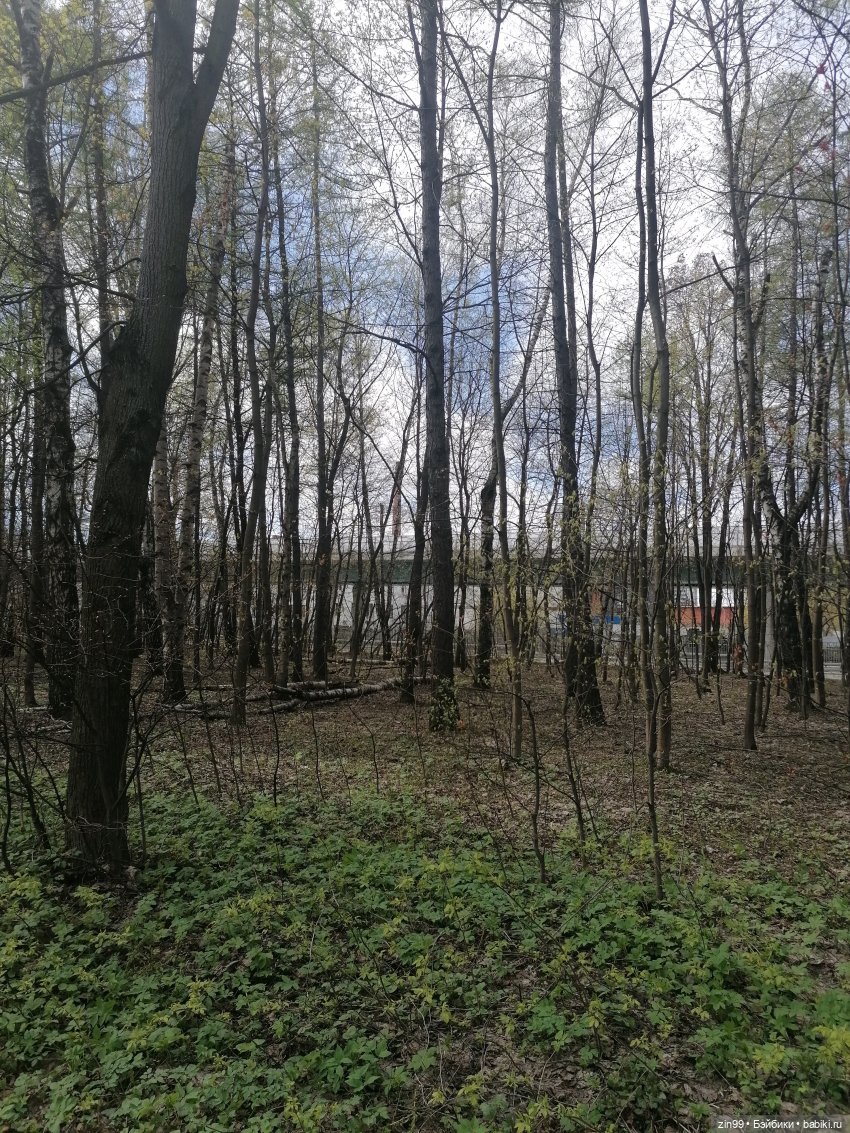 Измайловский парк — Коллекции шарнирных