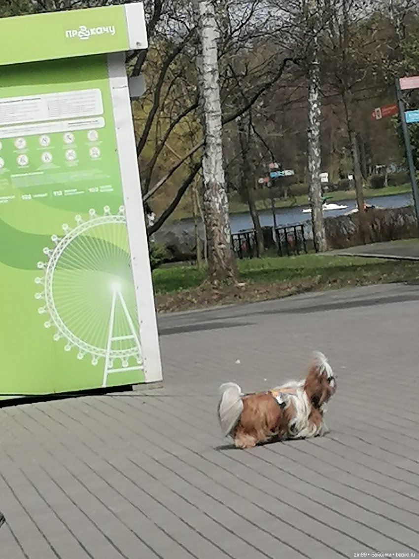 Измайловский парк — Коллекции шарнирных