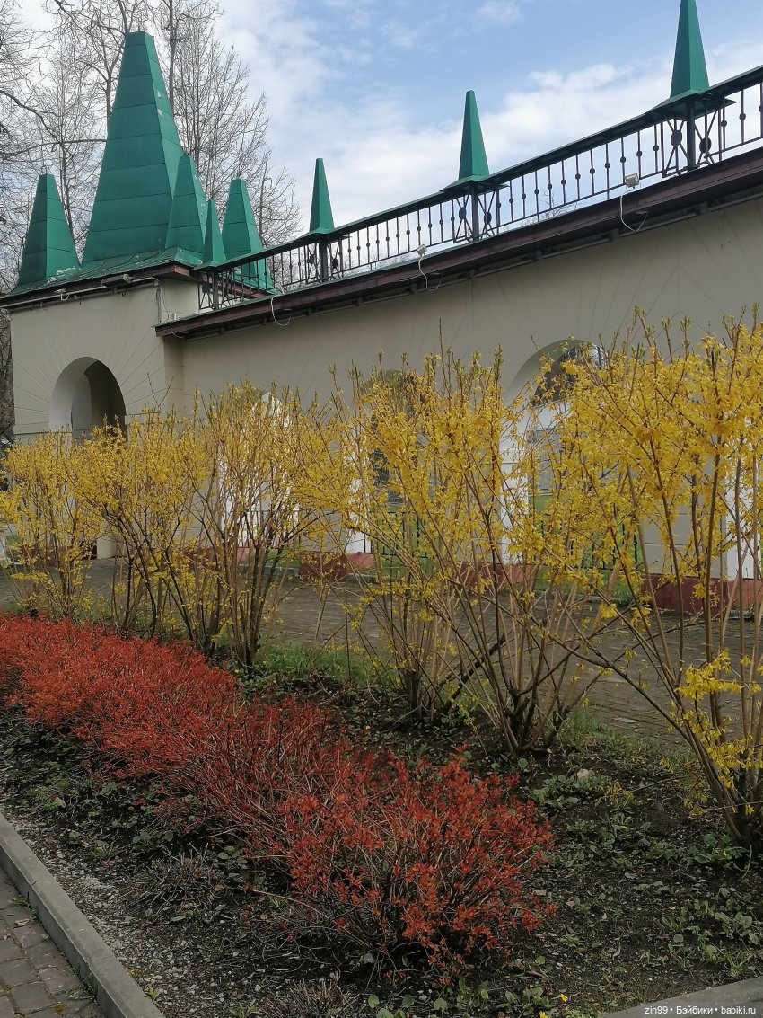 Измайловский парк — Коллекции шарнирных