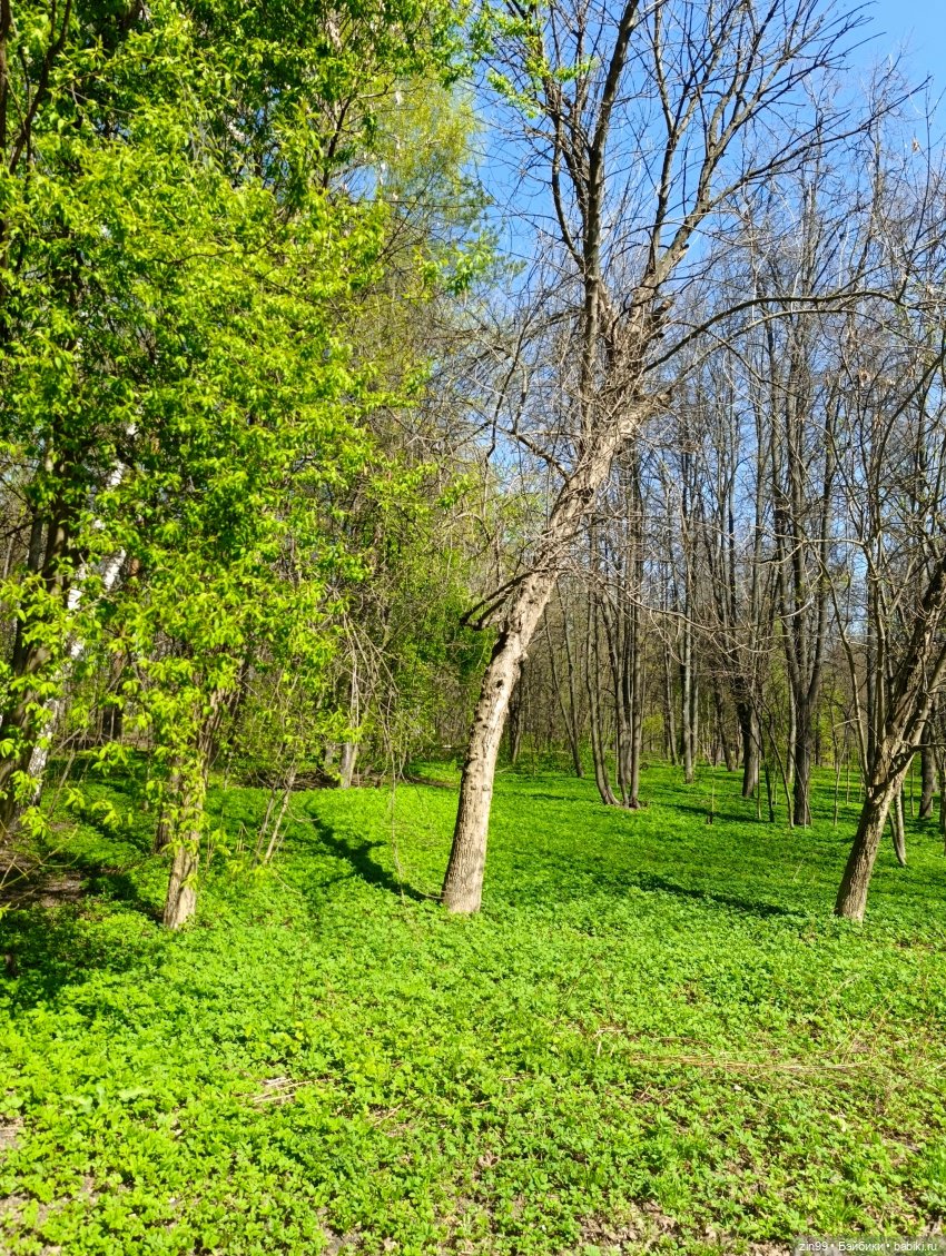 Солнечная прогулка Мии — Куклы Nines d'Onil (Нинес): Миа (Mia) (фото 2)