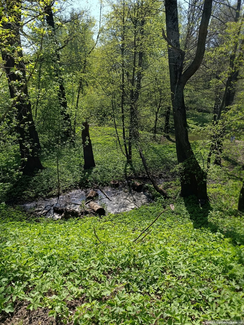 Прогулка майская с паолками