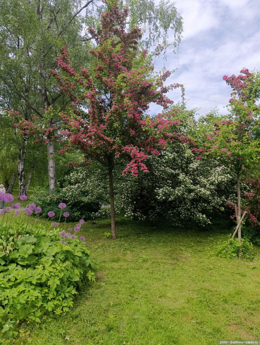 Ботанический сад, ВДНХ, Останкино