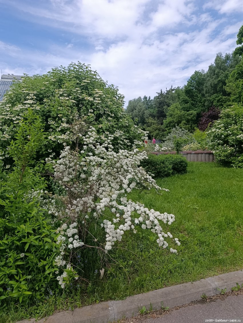 Ботанический сад, ВДНХ, Останкино