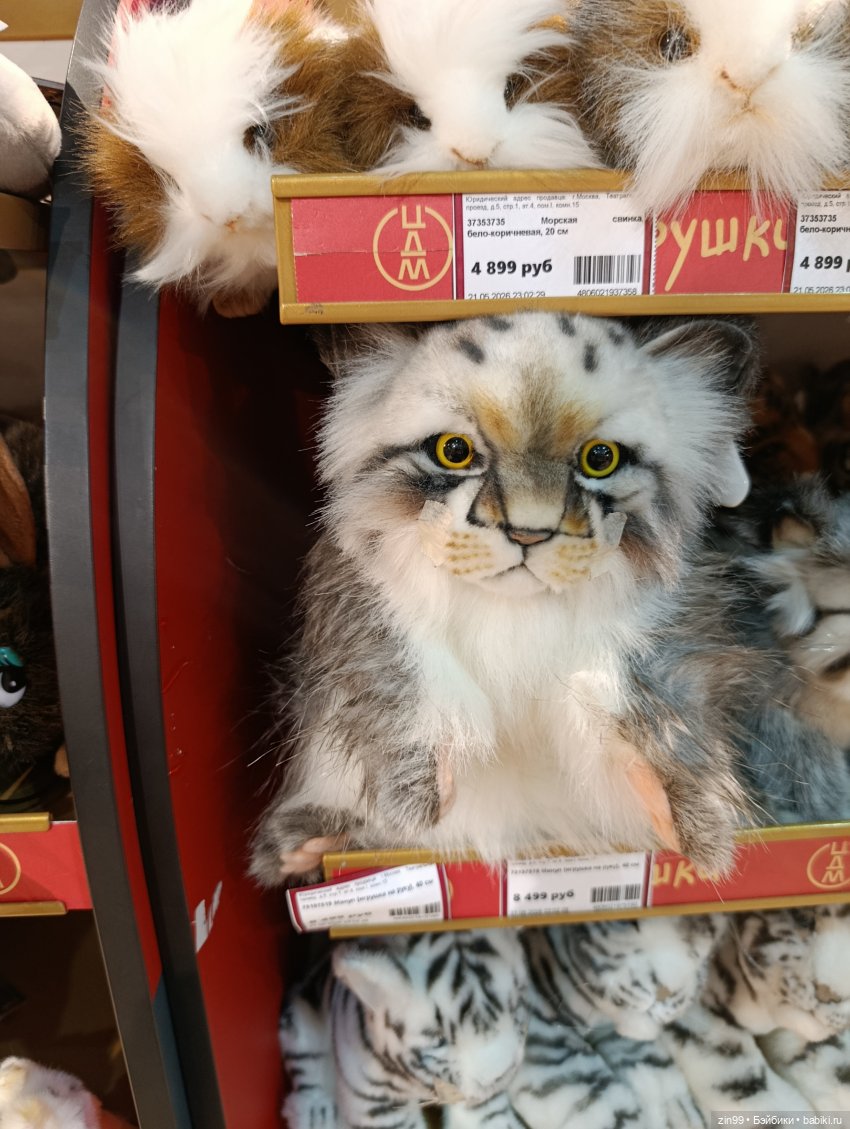 В мае по детскому магазину в Москве (фото 4)