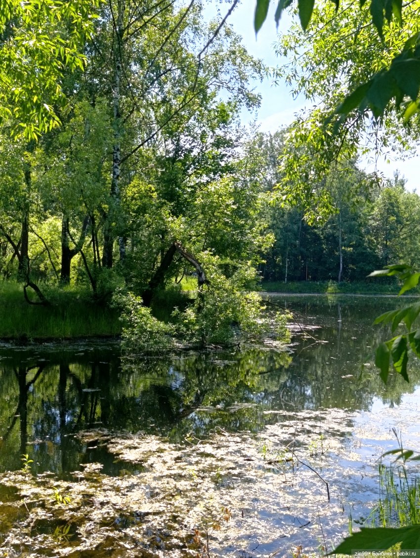 Картошки Мии и парк Кусково