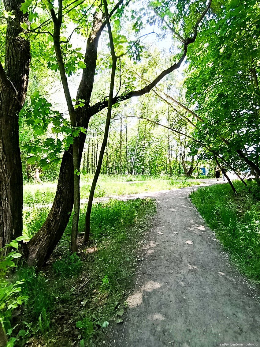 Картошки Мии и парк Кусково