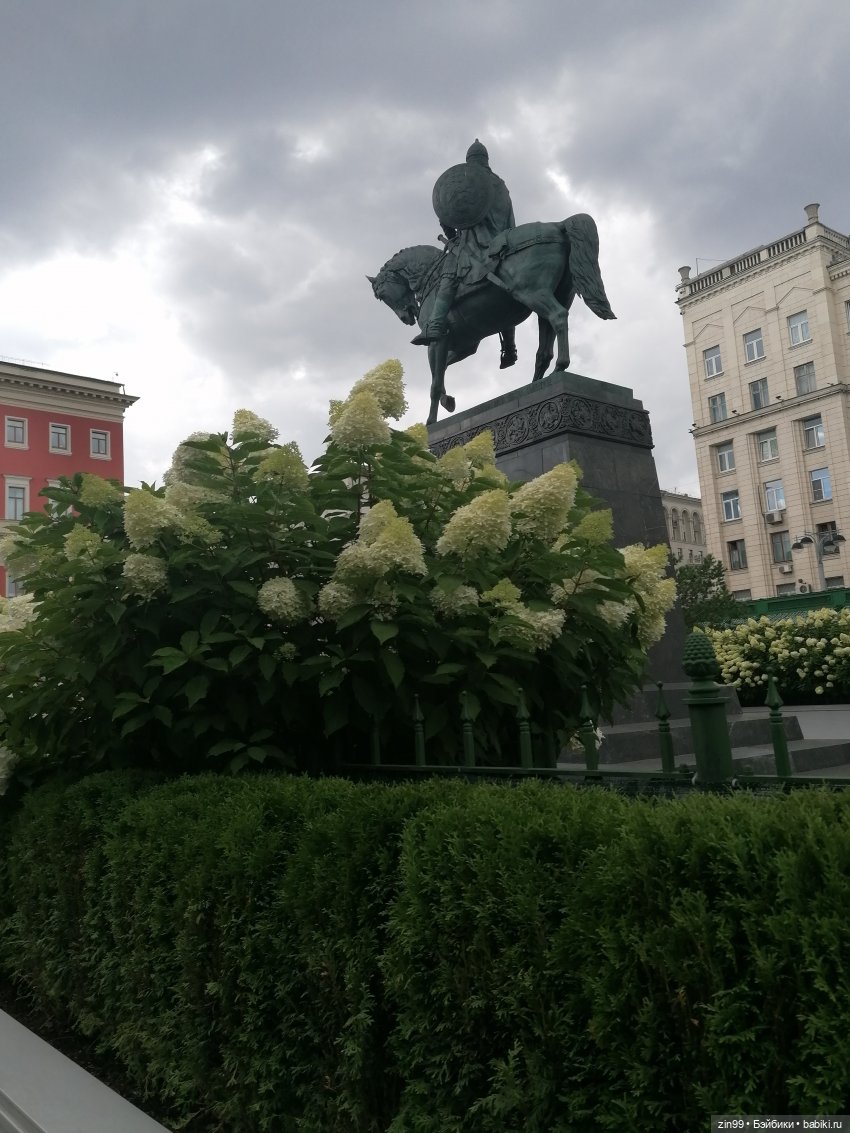 Книжные магазины в центре Москвы