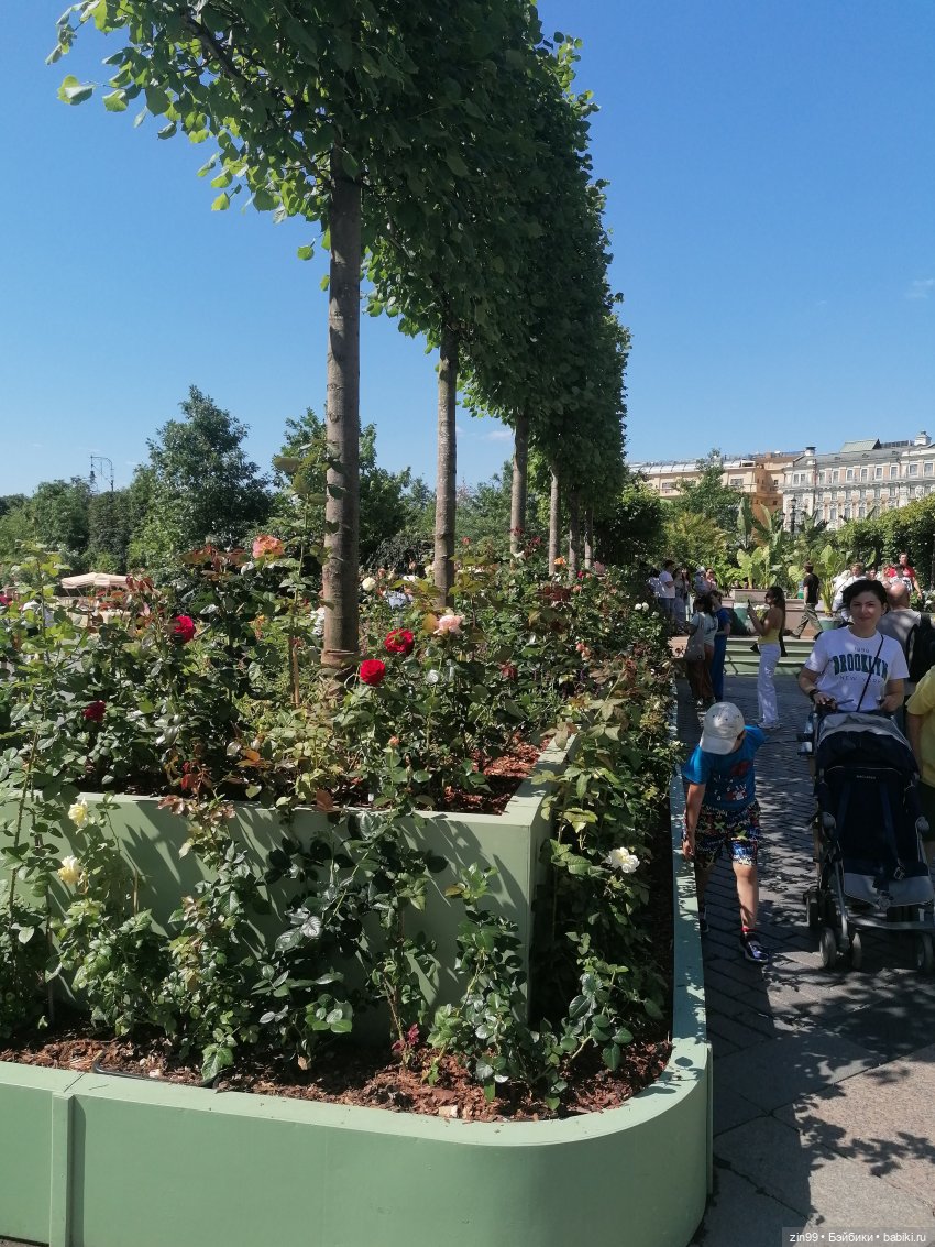 Цветочный центр, Московские сезоны