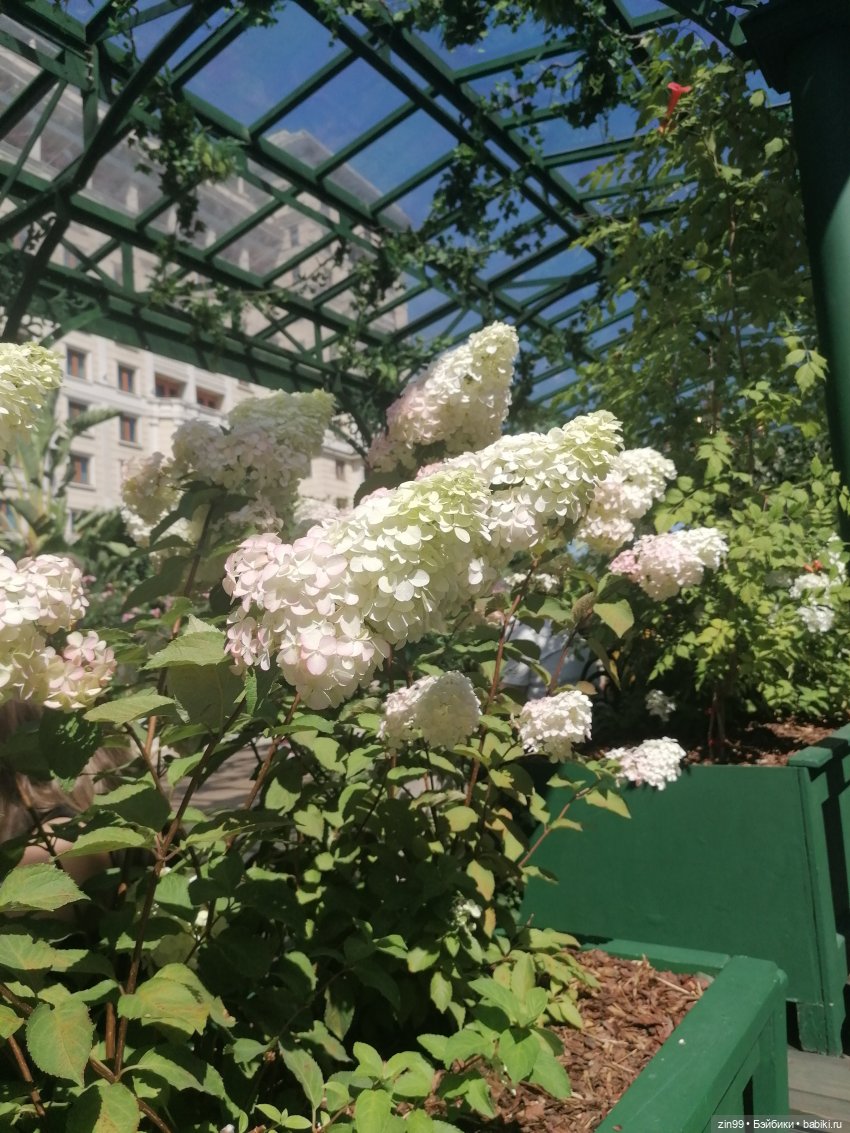 Цветочный центр, Московские сезоны