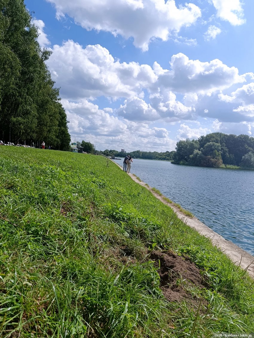 Хлоя гуляет пока еще в августе