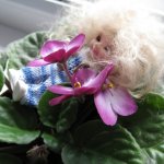 Путешествие Дженни - третья остановка