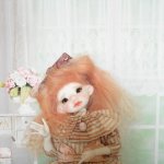 От Бурбонов до Дюбуа... или приезд маленькой француженки Адель.