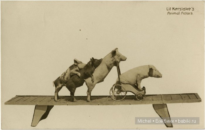 Цирк, цирк, цирк!!! Цирк приехал, и мои клоуны сбежались (фото 10)