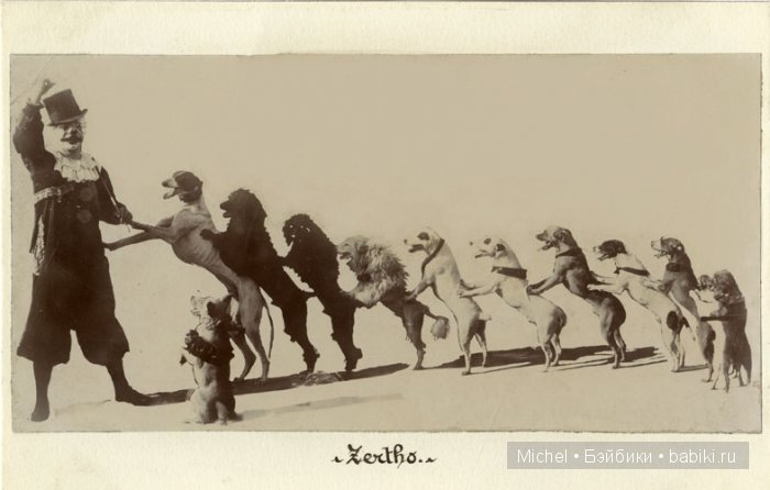 Цирк, цирк, цирк!!! Цирк приехал, и мои клоуны сбежались (фото 9)