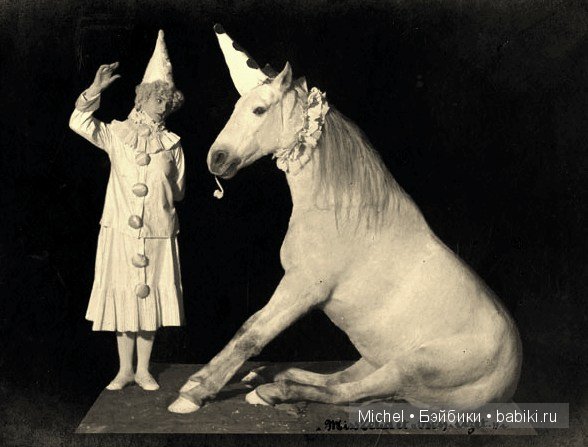 Цирк, цирк, цирк!!! Цирк приехал, и мои клоуны сбежались