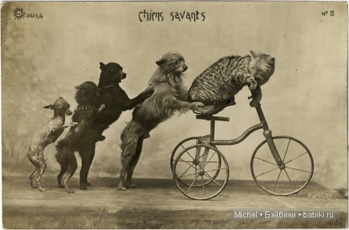 Цирк, цирк, цирк!!! Цирк приехал, и мои клоуны сбежались