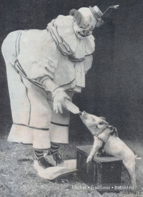 Цирк, цирк, цирк!!! Цирк приехал, и мои клоуны сбежались (фото 8)