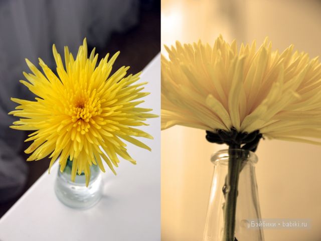 День знаний или поиграем в школу (фото 3)