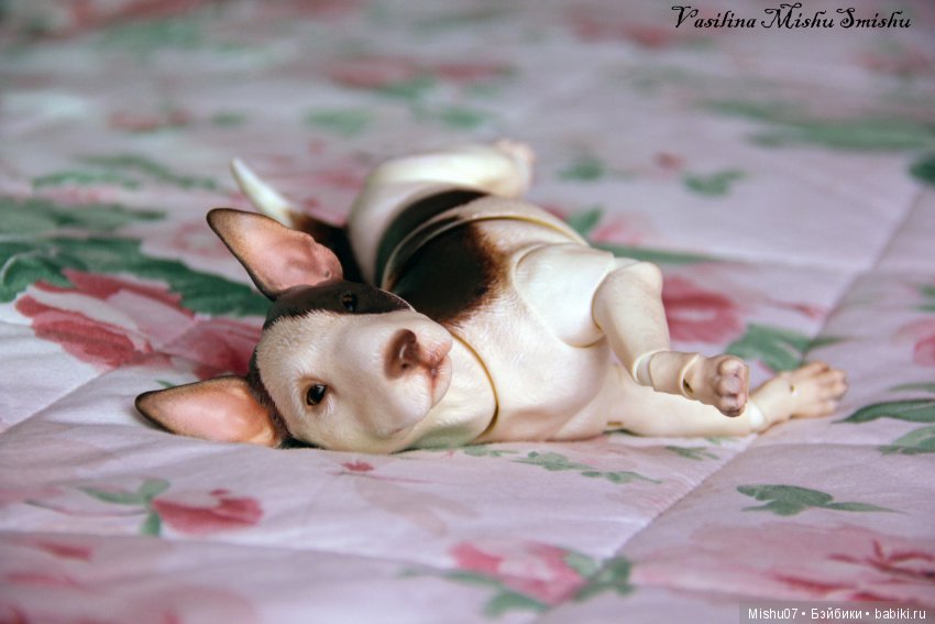 Идеальные выходные | Бэйбики Идеальные выходные — Куклы Iplehouse (Иплхаус): BJD (БЖД) (фото 4)