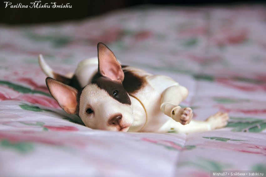 Идеальные выходные | Бэйбики Идеальные выходные — Куклы Iplehouse (Иплхаус): BJD (БЖД) (фото 3)