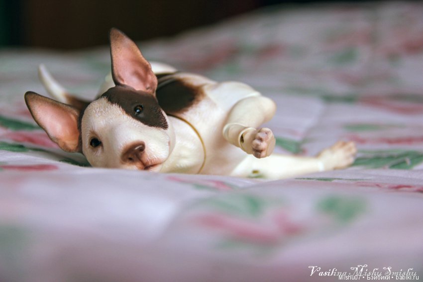 Идеальные выходные | Бэйбики Идеальные выходные — Куклы Iplehouse (Иплхаус): BJD (БЖД) (фото 5)