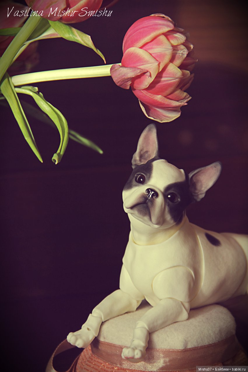 Разные фото моих бжд. Часть 1 (фото 9)