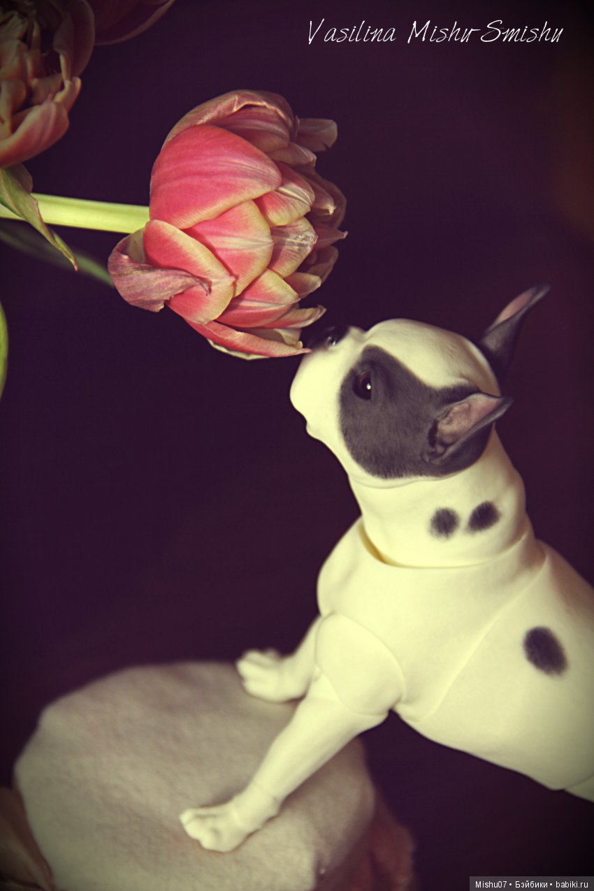 Разные фото моих бжд. Часть 1 (фото 10)