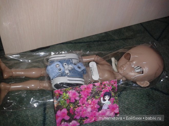 Мой дорогой Тео приехал — Худжики (фото 3)